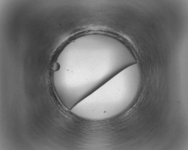X0000068741263200604281007