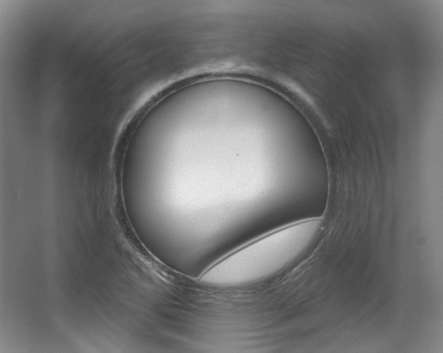 X0000068741270200604281007