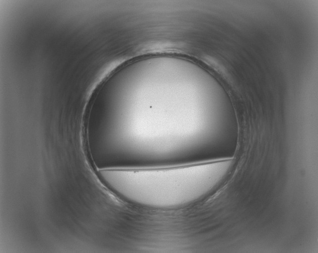 X0000068741277200604281007