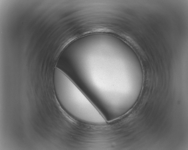 X0000068741281200604281006