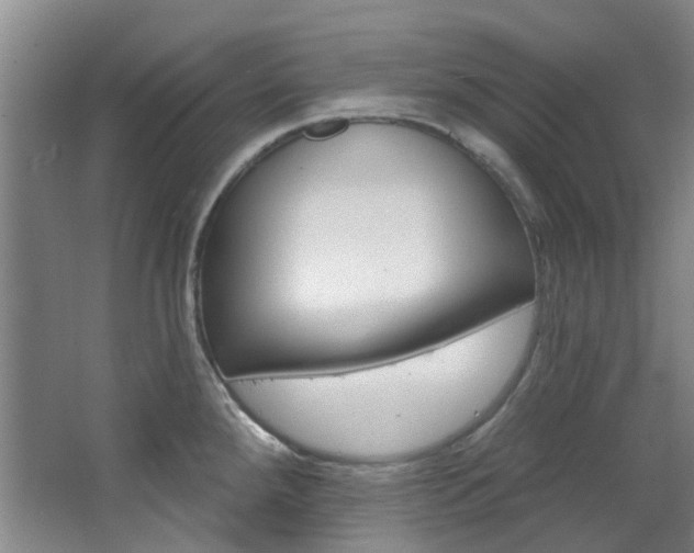 X0000068741288200604281006