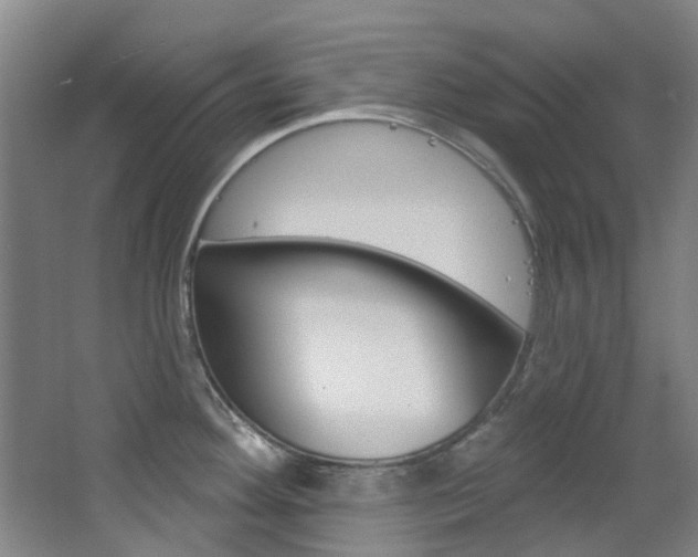 X0000068741292200604281006