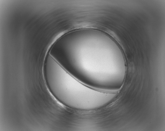 X0000068741293200604281006