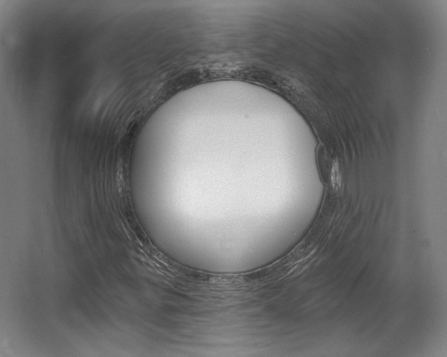 X0000068741299200604281005