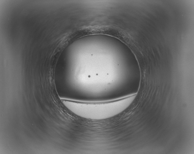 X0000068741300200604281005
