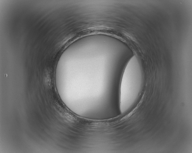 X0000068741305200604281006