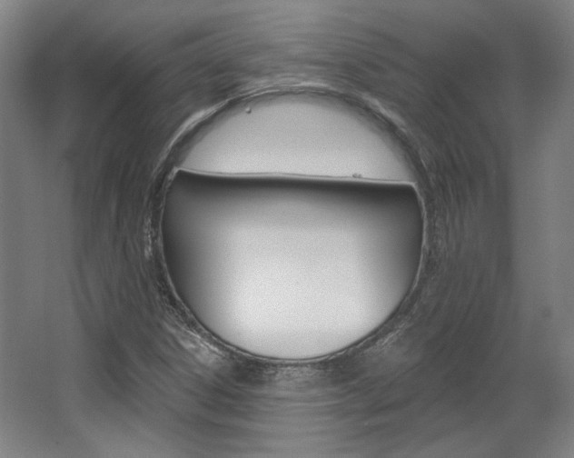 X0000068741306200604281006