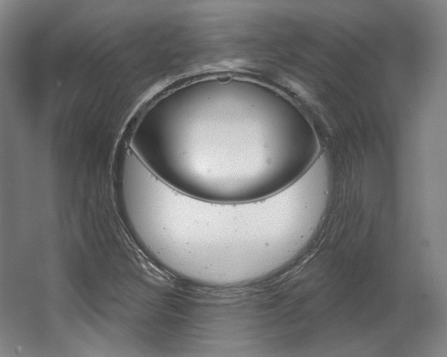 X0000068741308200604281006