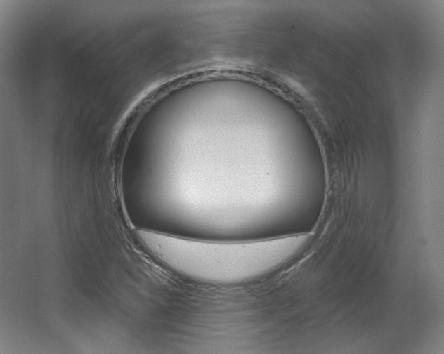 X0000068741310200604281006