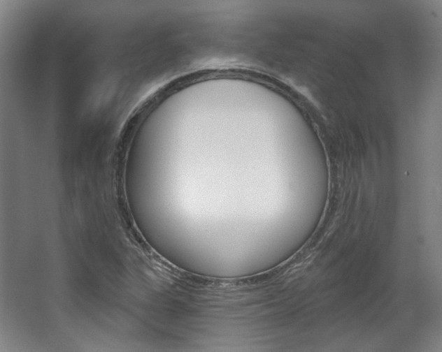 X0000068741311200604281006
