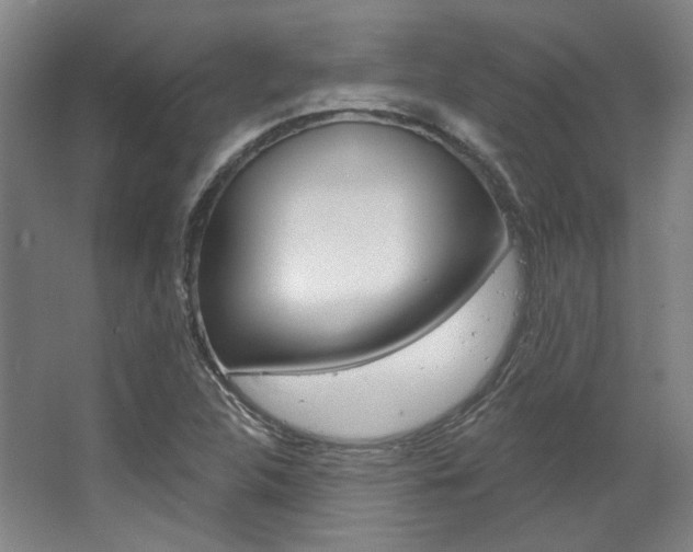 X0000068741312200604281006