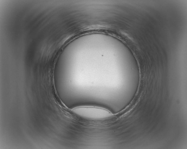 X0000068741313200604281006