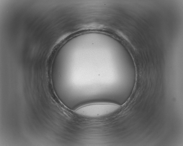 X0000068741315200604281006