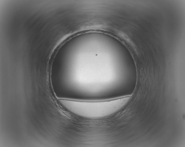 X0000068741316200604281006