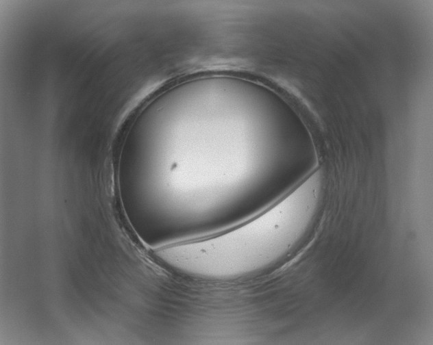 X0000068741317200604281006