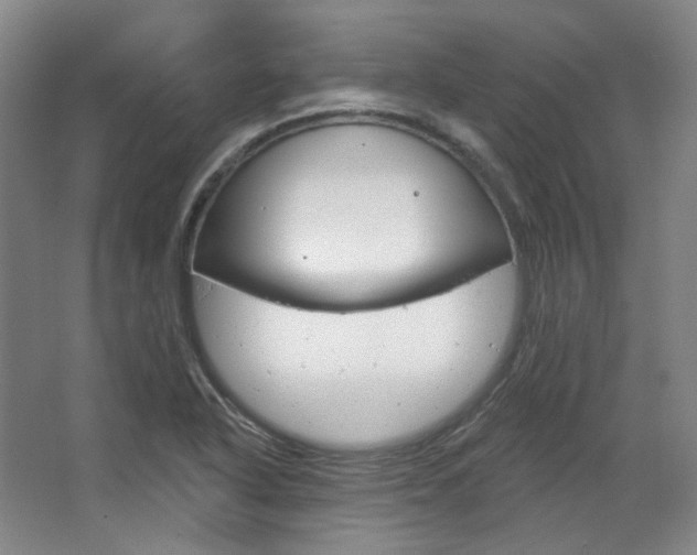 X0000068741318200604281006