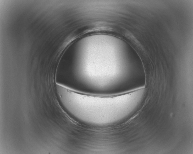 X0000068741321200604281006