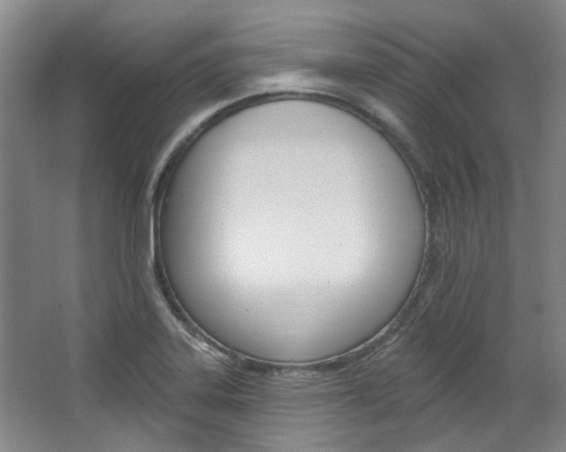 X0000068741323200604281006