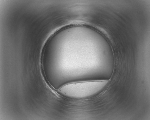 X0000068741327200604281006