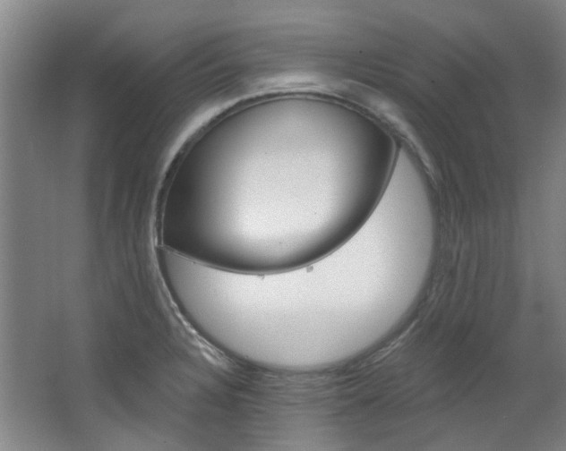 X0000068741328200604281006