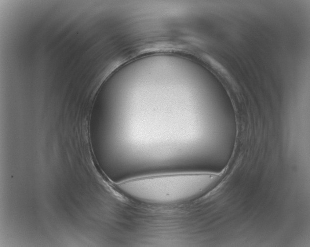 X0000068741329200604281006
