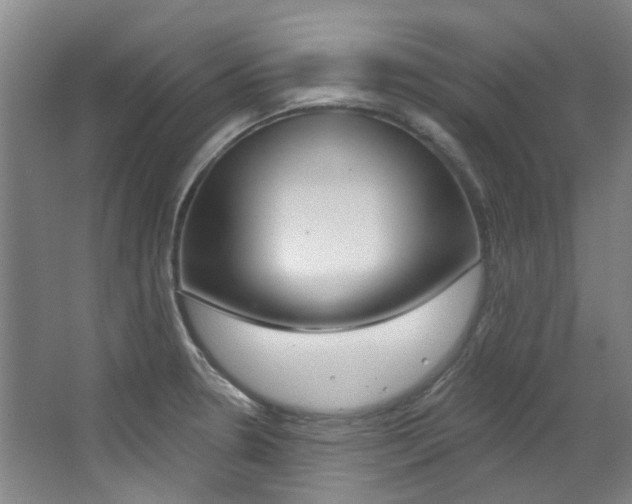 X0000068741330200604281006