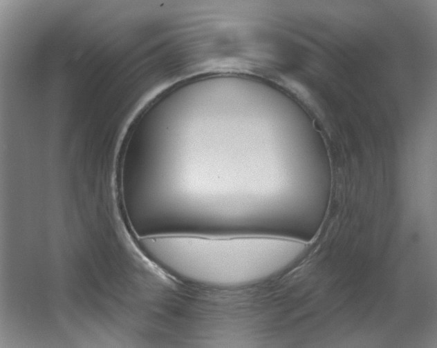 X0000068741331200604281006
