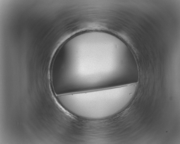 X0000068741335200604281006