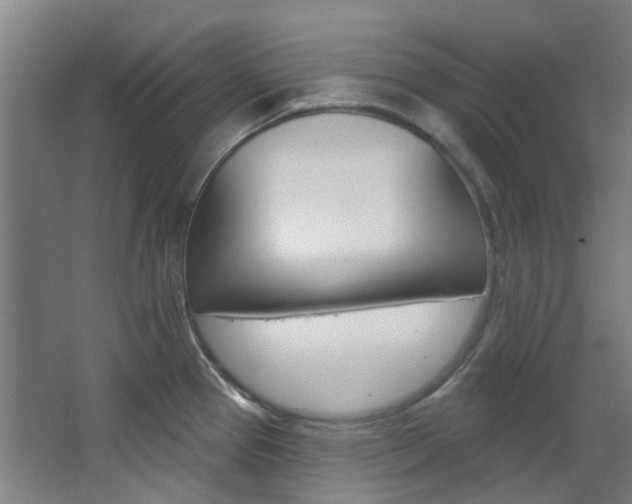 X0000068741337200604281006