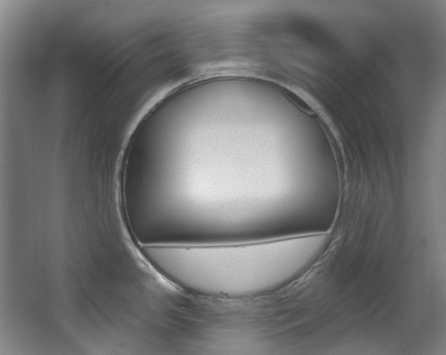 X0000068741341200604281006