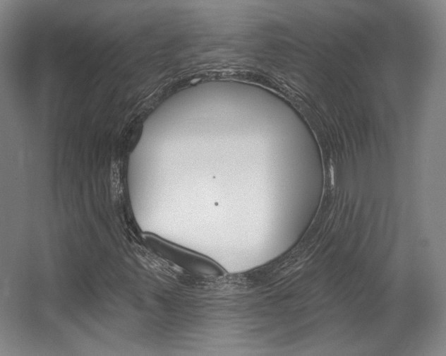 X0000068741347200604281005