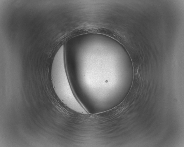 X0000068741348200604281005