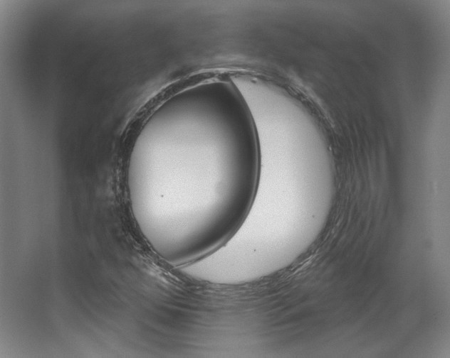 X0000068741352200604281005