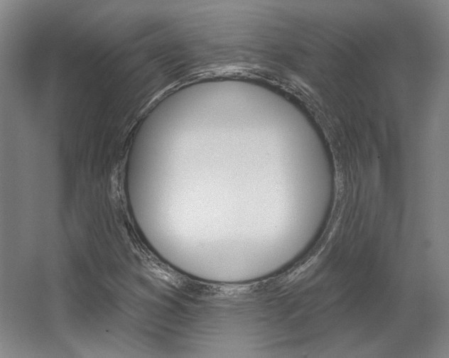 X0000068741353200604281005