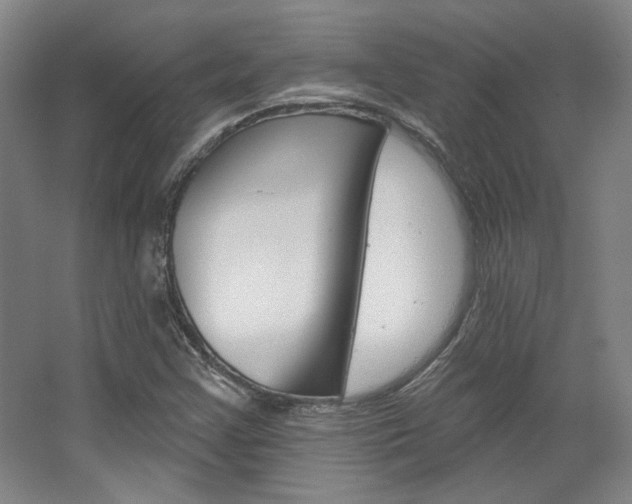X0000068741355200604281005
