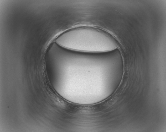 X0000068741359200604281005