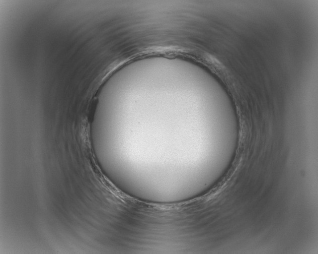X0000068741361200604281005