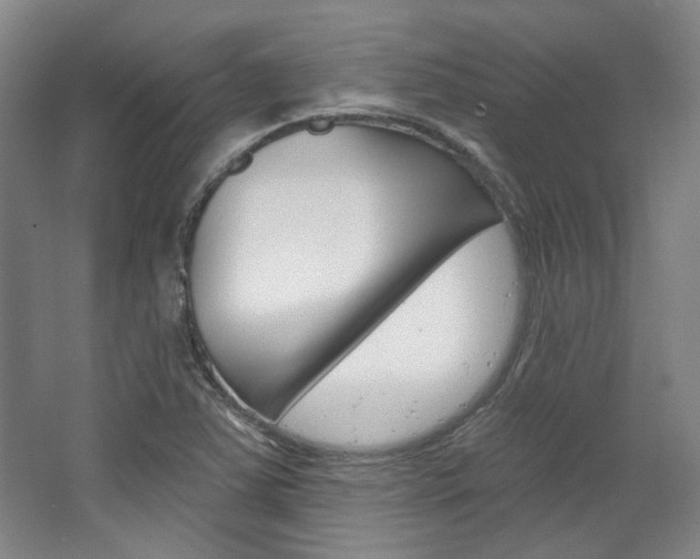 X0000068741363200604281005