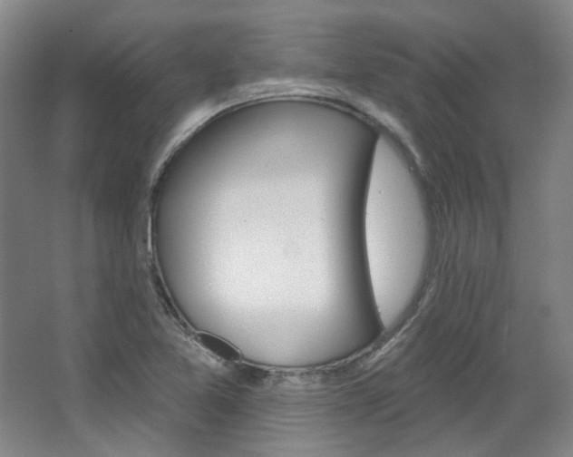 X0000068741365200604281005