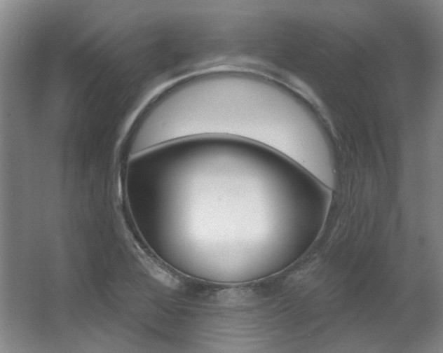 X0000068741368200604281005