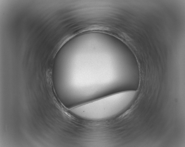 X0000068741369200604281005