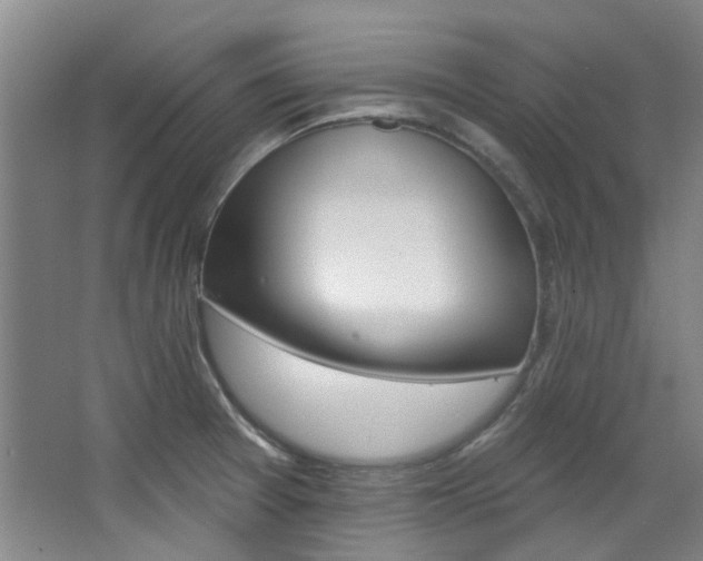 X0000068741377200604281005