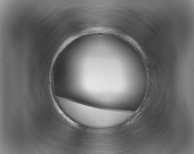 X0000068741381200604281005