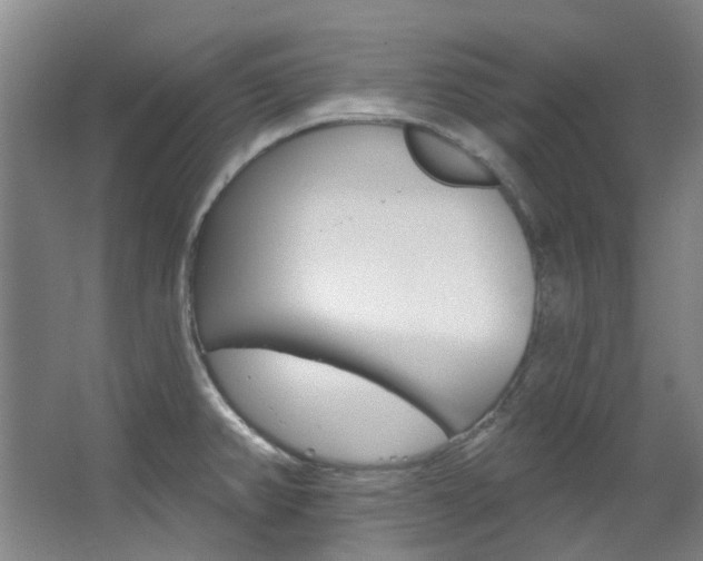X0000068741382200604281005