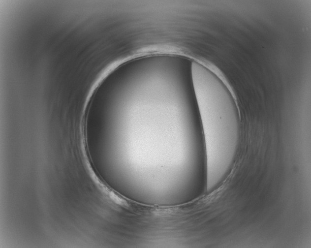 X0000068741389200604281005