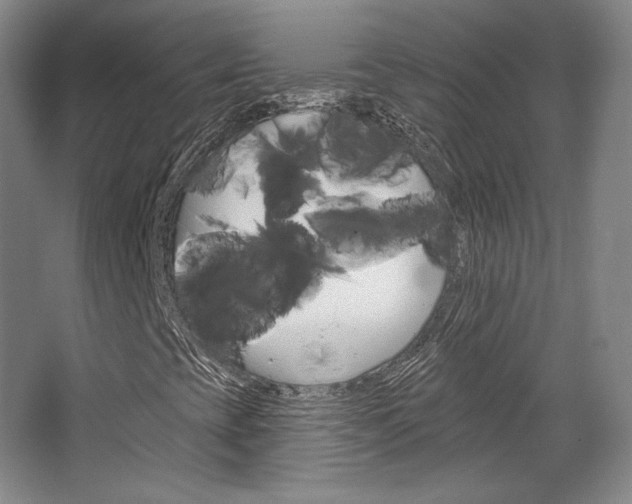 X0000068741393200604281004