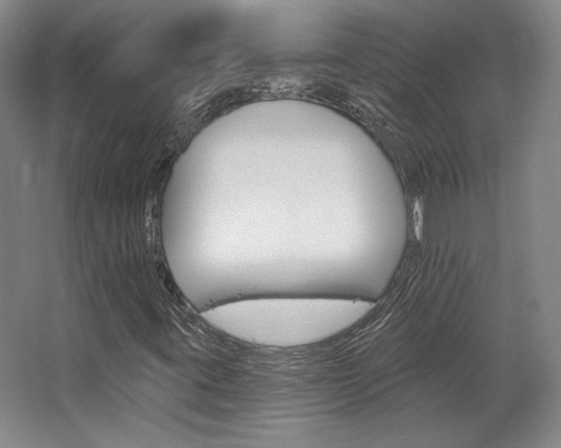 X0000068741395200604281004