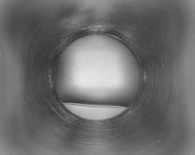 X0000068741396200604281004