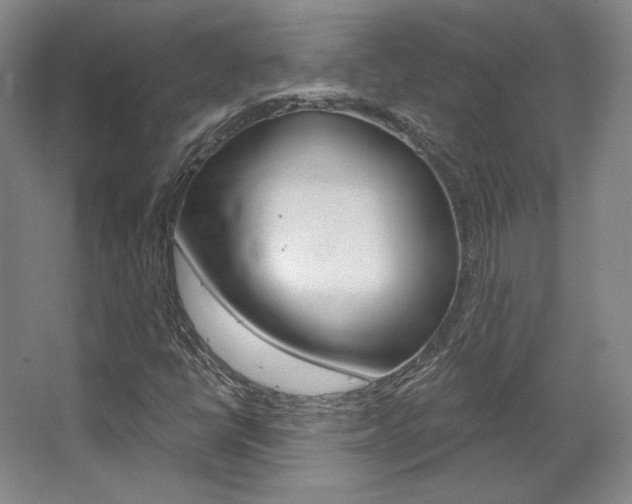 X0000068741398200604281004