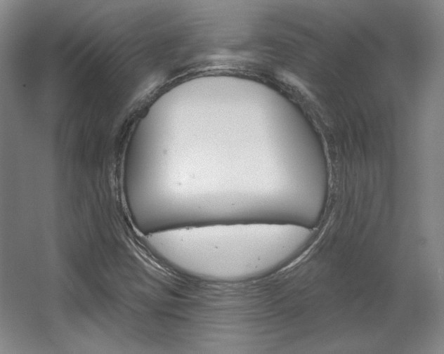X0000068741403200604281004